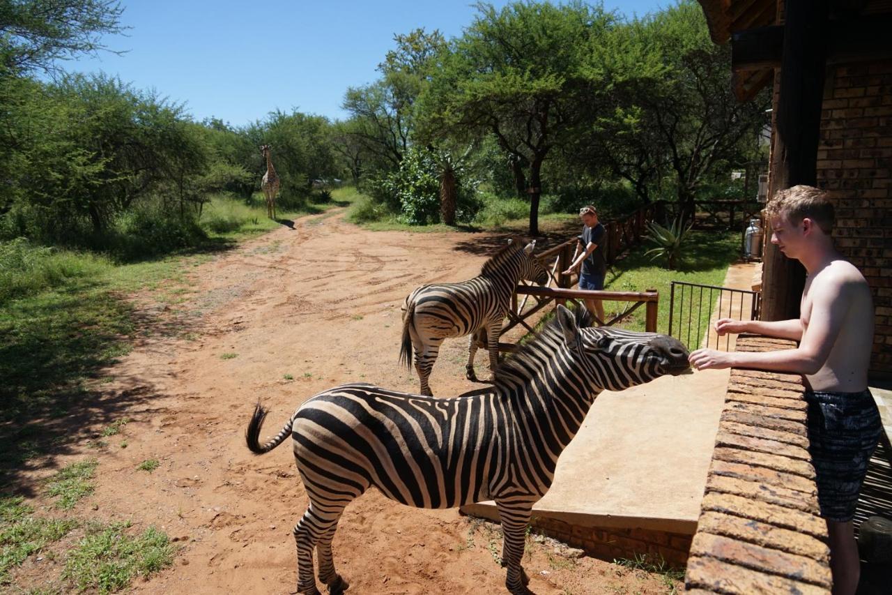 Giraffe Plains Villa Марлот Парк Екстериор снимка