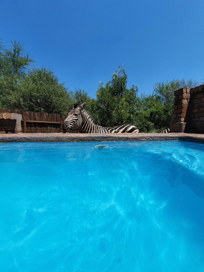 Giraffe Plains Villa Марлот Парк Екстериор снимка