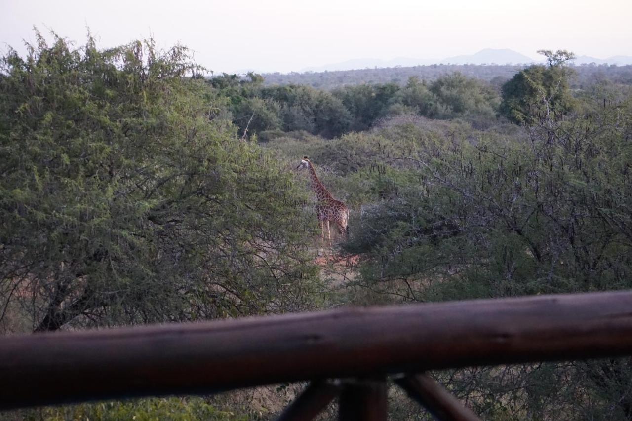 Giraffe Plains Villa Марлот Парк Екстериор снимка
