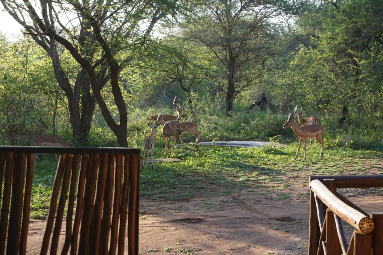 Giraffe Plains Villa Марлот Парк Екстериор снимка