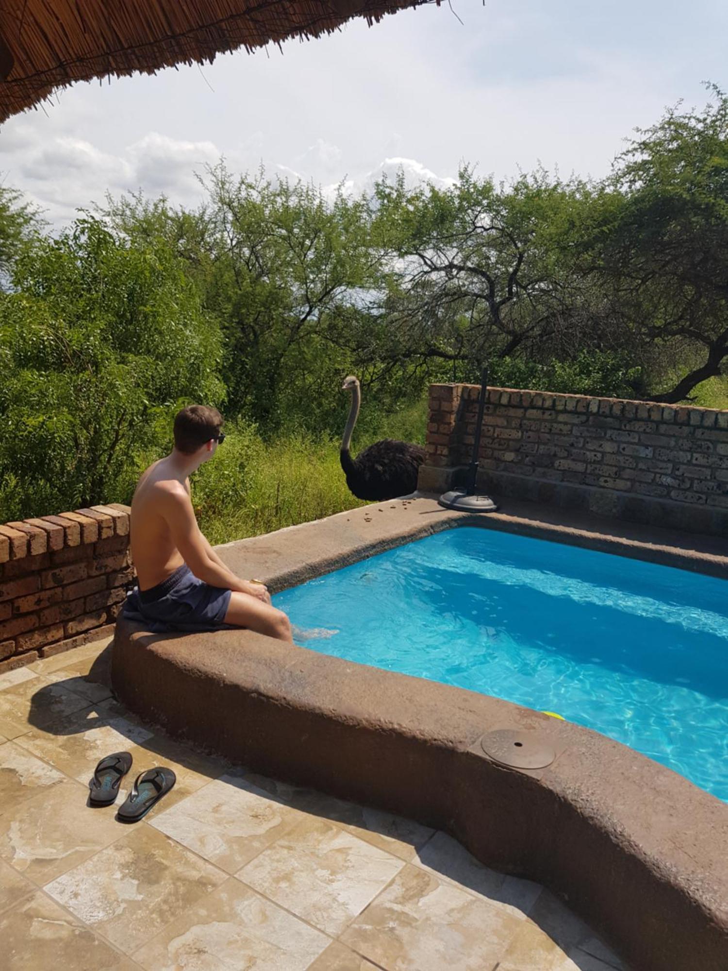 Giraffe Plains Villa Марлот Парк Екстериор снимка